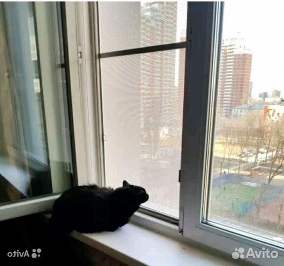 Москитная сетка Антикошка