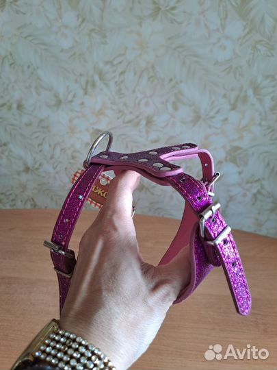 Шлейка для собаки, размер 1