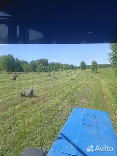 Продам сено в рулонах 25-35 кг длинна70 диаметр60