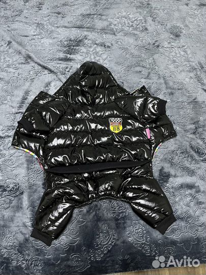 Одежда для собак