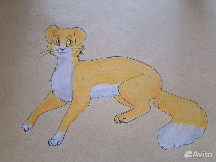 Нарисую вашего кота/человека по фото