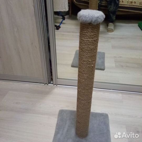 Когтеточка