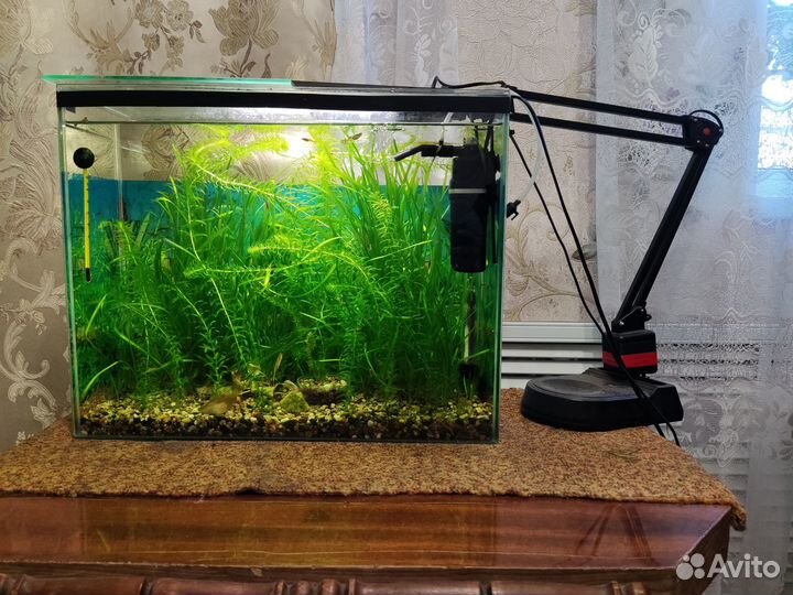 Продам 3 аквариума