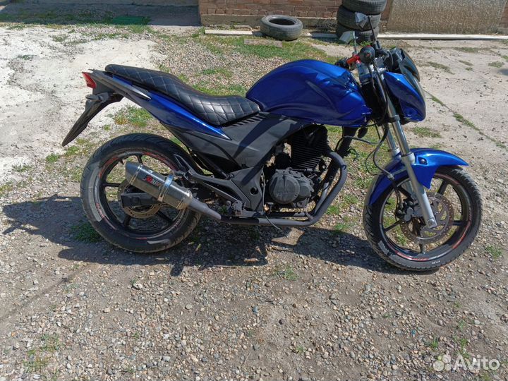 Stels flex 250