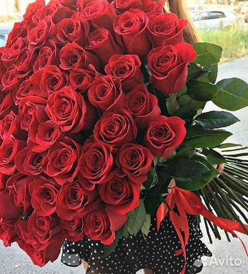 Розы гиганты 140 150 160 170 180 200