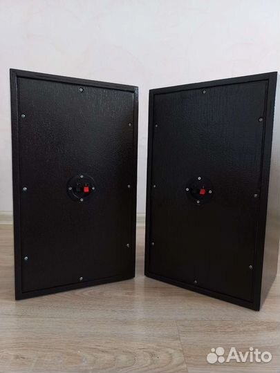 Колонки акустика вега 25ас 2