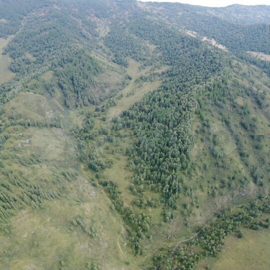 Участок 85,4 га (СНТ, ДНП)