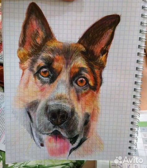 Учитель рисунка, живописи