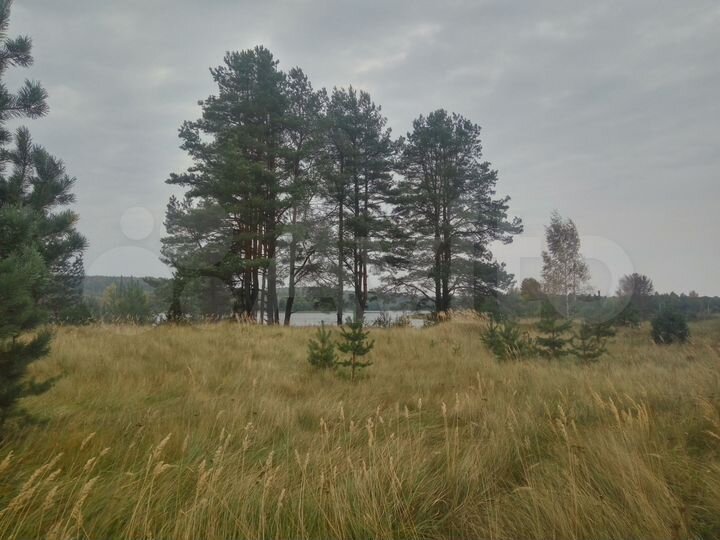 Участок 4 га (СНТ, ДНП)