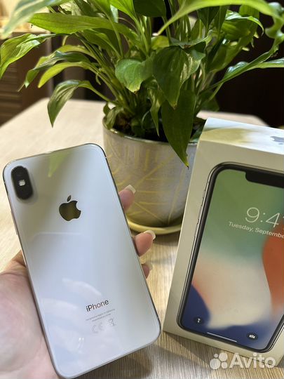 iPhone X, 256 ГБ