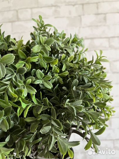 Искусственные растения в горшках