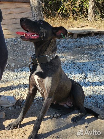 Фортуна ждет вас