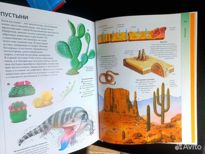 Познавательные книги для детей