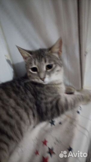 Малышка Тоня