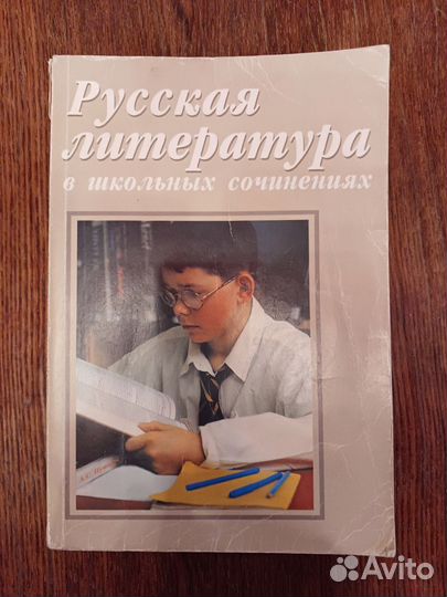 Русская литература в школьных сочинениях