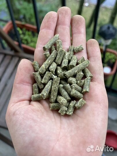 Корм для шиншилл в гранулах