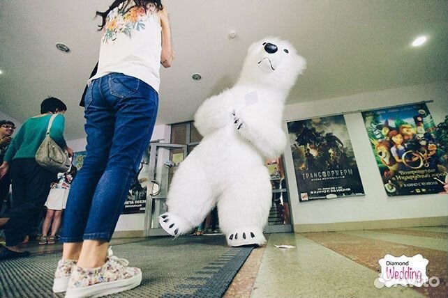 Поздравления, Аренда белого медведя