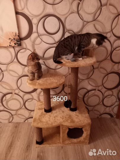 Домик для кошки