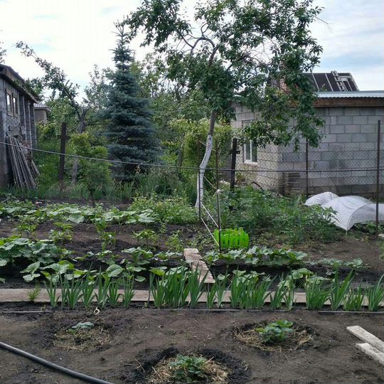 Дача 50 м² на участке 6 сот.