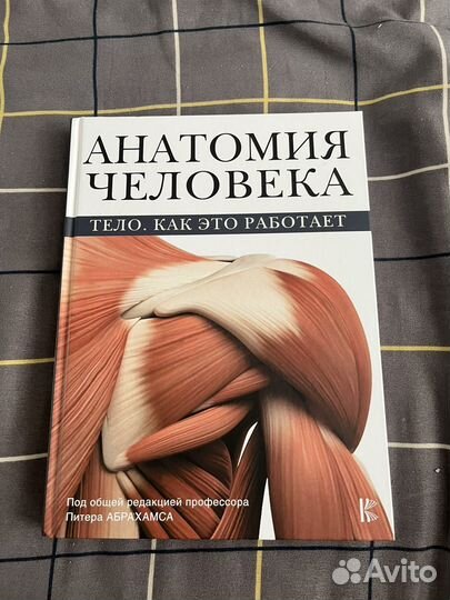 Анатомия