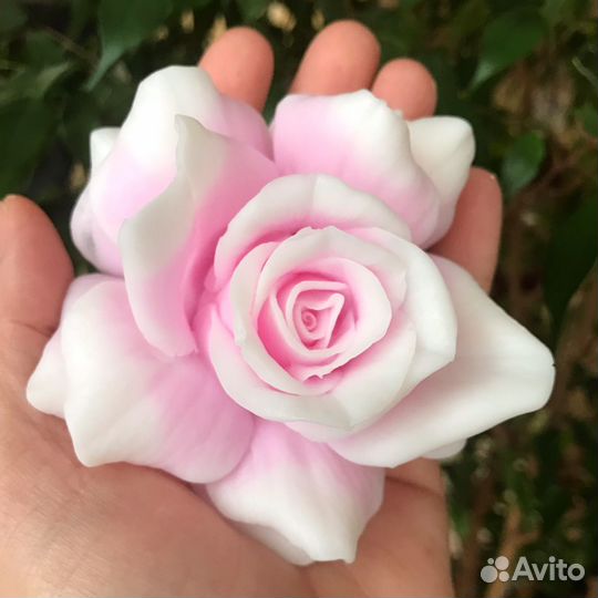 Мыльные розы в куполе