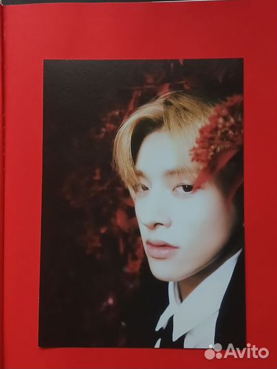 Enhypen dark blood альбом