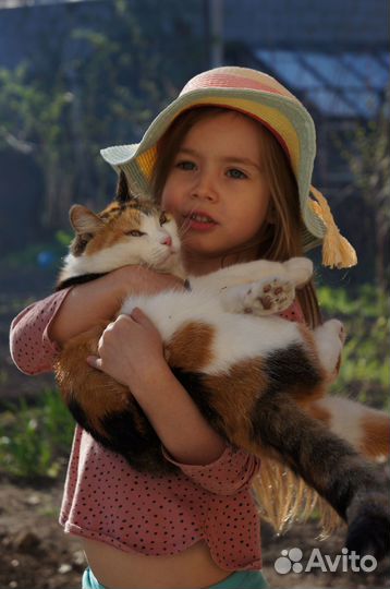 Фотограф и видеограф