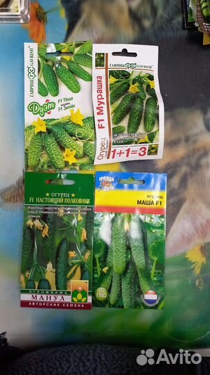 Семена огурцов