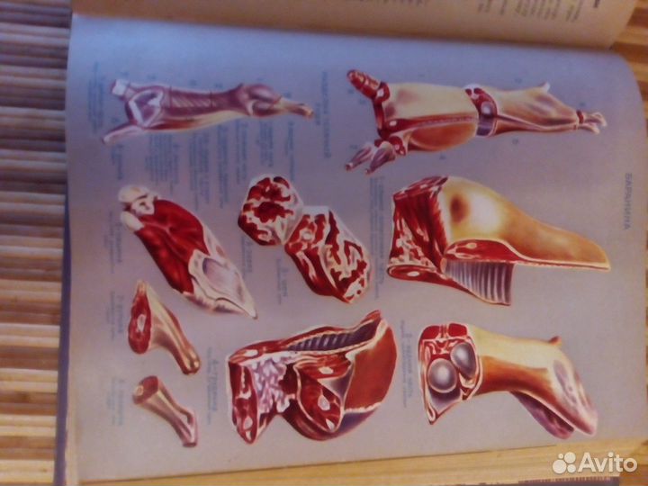 Книга о вкусной и здоровой пище