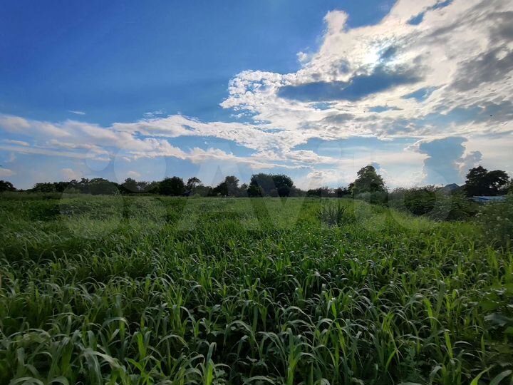 Участок 43 сот. (ИЖС)