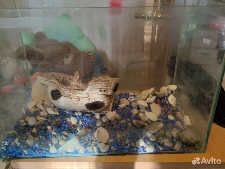 Аквариум