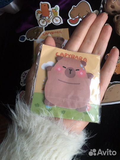 Капибара набор подарочный