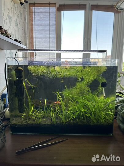Аквариум со всем оборудованием и рыбками