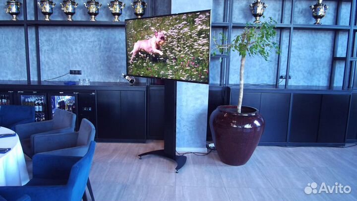 Аренда Плазмы и телевизора на напольной стойке
