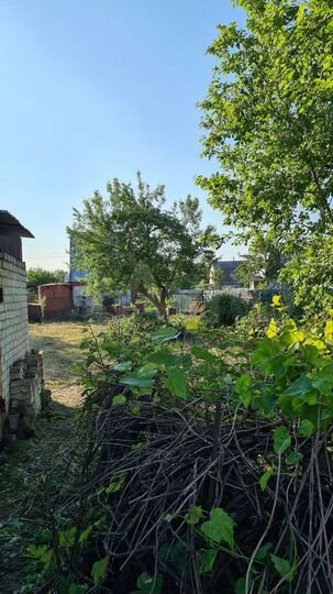 Дача 50 м² на участке 6 сот.