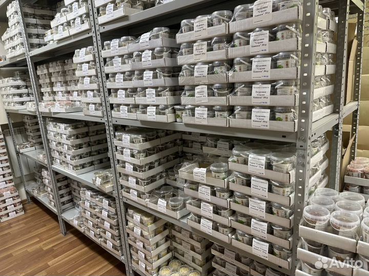 Специи и приправы Кавказа оптом