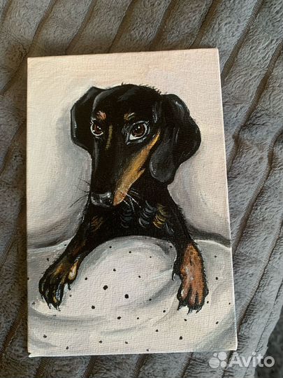 Картина «Такса под одеялом»