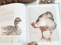 Книга о гусях, утках, индюках