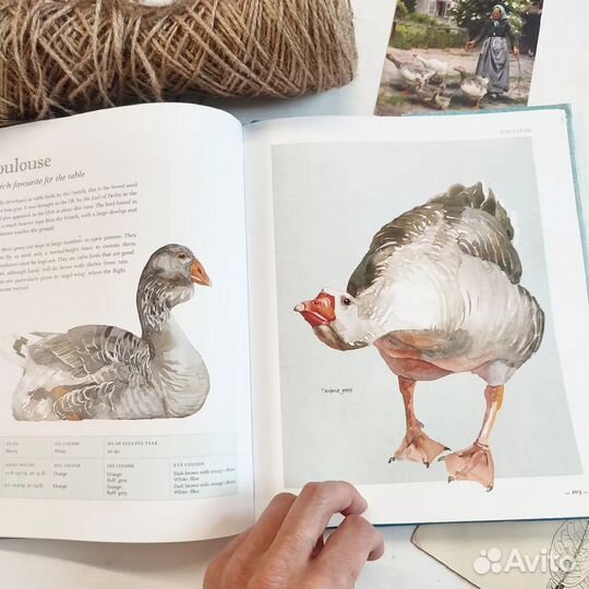 Книга о гусях, утках, индюках