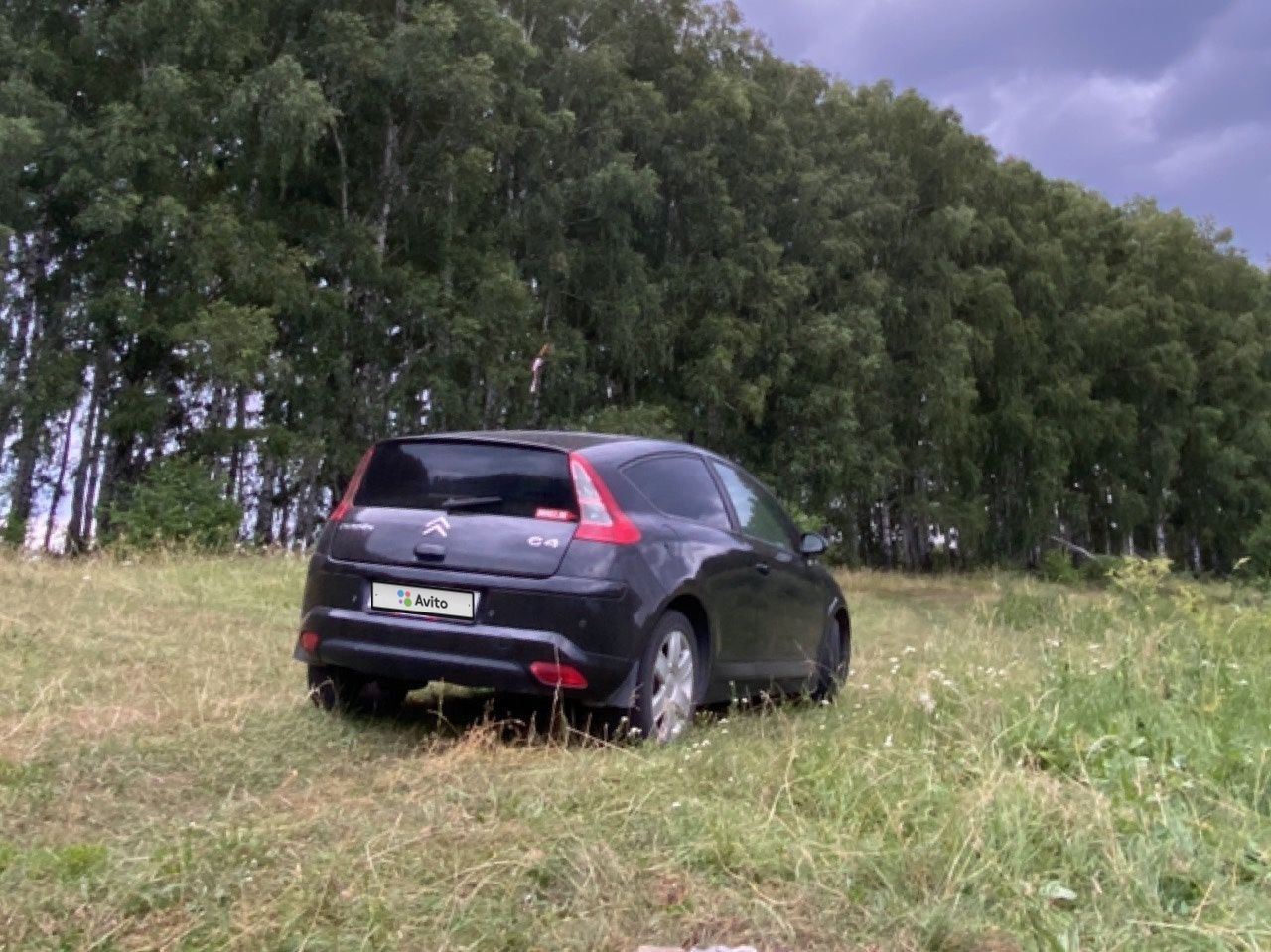 Citroen C4: фото владельца