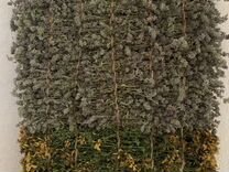 Панно коврик из трав в эко-стиле