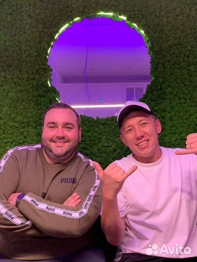 Мох стабилизированный для панно