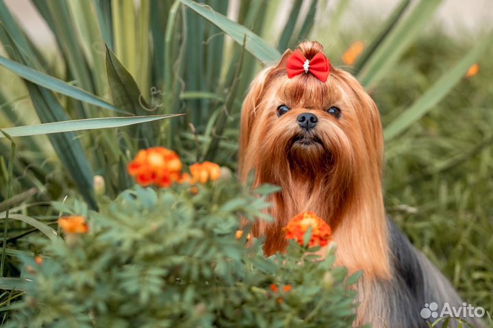 Фотопечать на бумажных носителях и холсте
