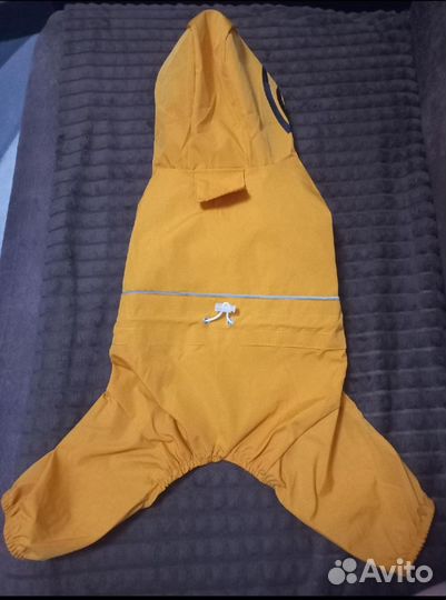 Одежда для собак