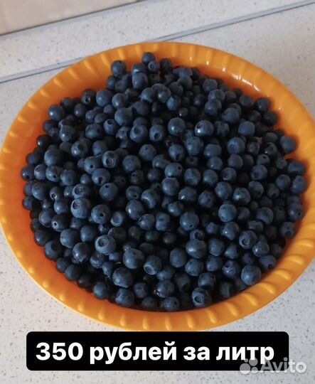 Черника свежая