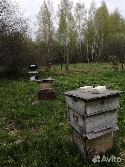 Улей для пчел