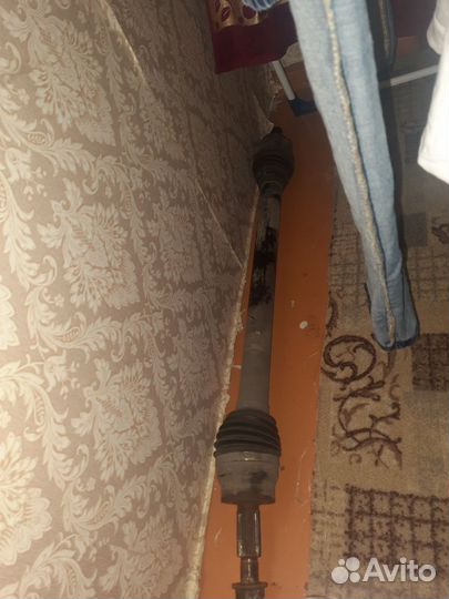 Гранат целый