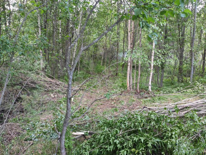 Участок 8 сот. (СНТ, ДНП)