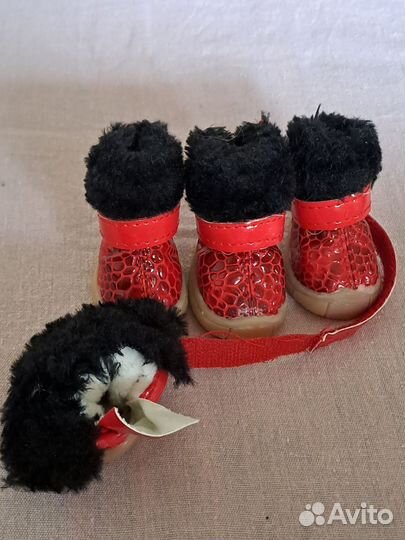 Обувь для маленьких собак