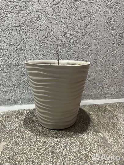 Вазоны для цветов